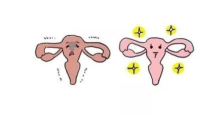 白帶91视频网站免费入口廠家分析女性陰道幹澀的緣由