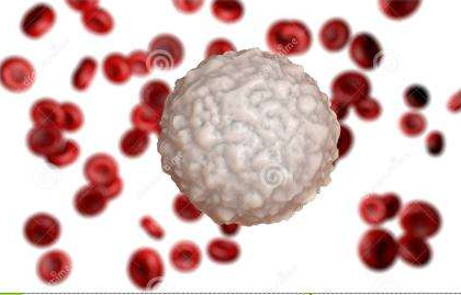 白帶91视频网站免费入口生產廠家提醒白帶常規檢查白細胞